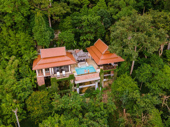 High angle view of trees and plants