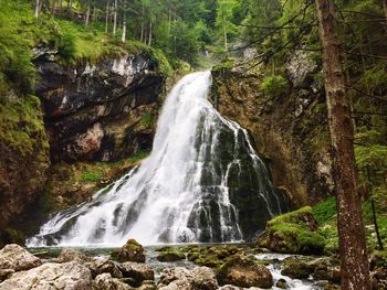 View of waterfall in forest