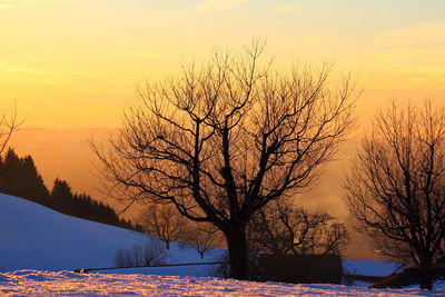 Bare tree against sky during sunset
