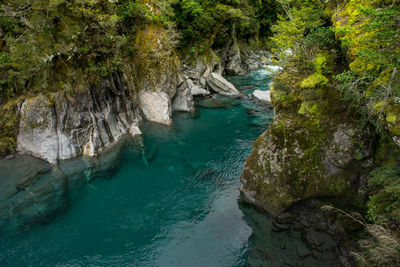 Beautiful scenery at blue pool , mount aspiring national park, new zealand.