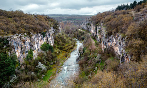 Scenic view of waterfall amidst trees against sky