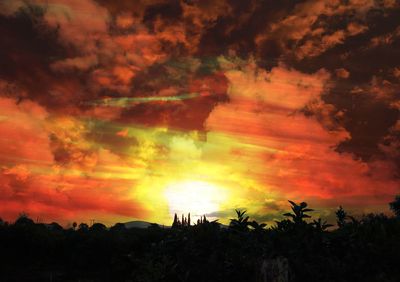 Low angle view of silhouette trees against orange sky