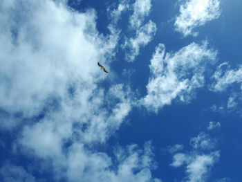 Low angle view of airplane flying in sky