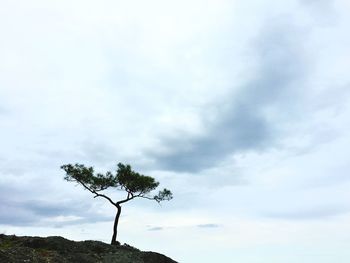 Low angle view of trees against cloudy sky