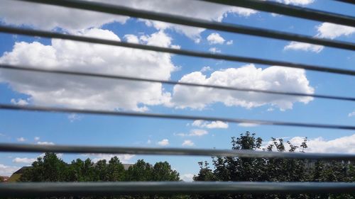 Low angle view of trees against sky