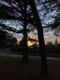 Silhouette trees on field against sky at sunset