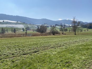 Scenic view of field against sky