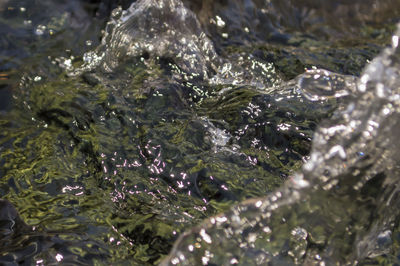 Close-up of water drops on leaf