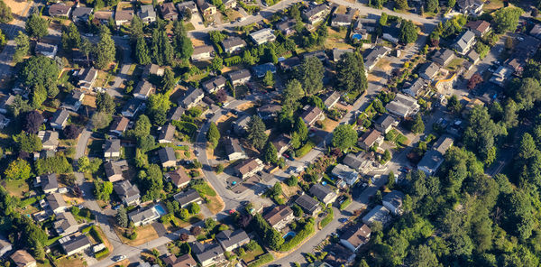 High angle view of trees and buildings in village