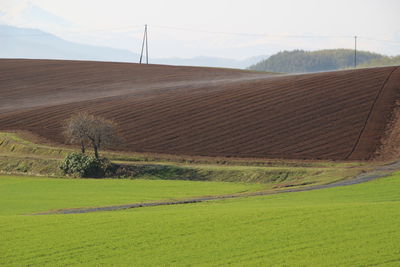 Scenic view of farm against sky