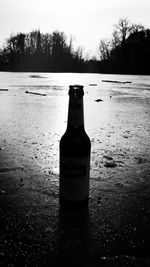 Close-up of beer bottle on snow covered land