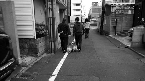 Rear view of father and son with dogs walking on street