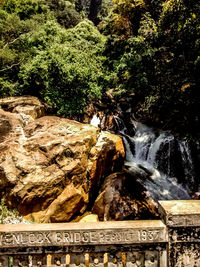 Scenic view of waterfall