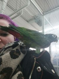 Portrait of woman looking at bird