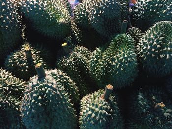 Full frame shot of durians for sale at market