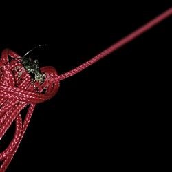 Close-up of red candle against black background