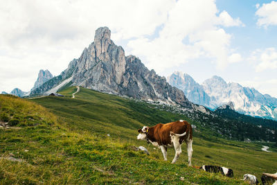Cows on field against mountains