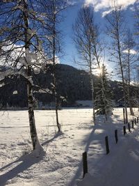 Bare trees on snow covered landscape against sky