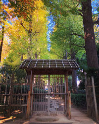 Trees in park during autumn