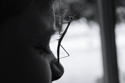 Close-up of praying mantis on human face