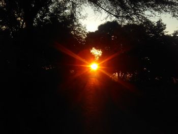 Sunlight streaming through trees against sky during sunset