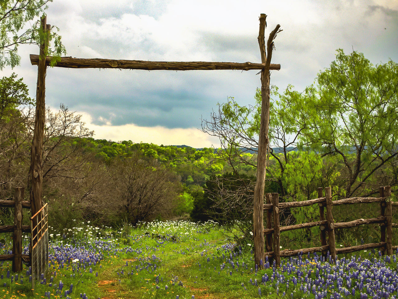 plant, cloud, nature, sky, flower, rural area, landscape, tree, environment, land, beauty in nature, fence, no people, grass, woodland, flowering plant, green, rural scene, meadow, scenics - nature, tranquility, garden, wood, outdoors, field, gate, day, growth, non-urban scene, natural environment, tranquil scene, architecture, forest, protection, agriculture