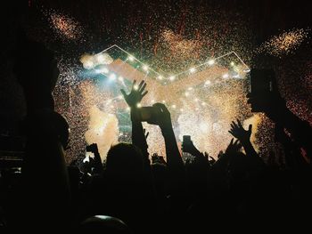 Crowd at music concert