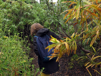 Rear view of backpack girl hiking in forest