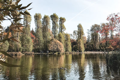 Reflection of trees in lake against sky