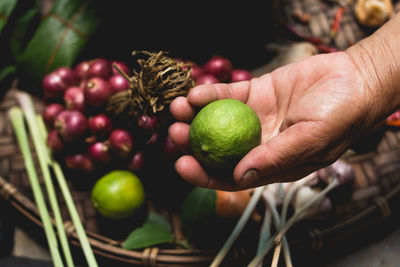 Cropped hand of person holding lime