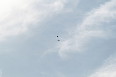 Low angle view of airplane flying in sky