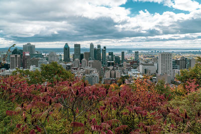 Trees and buildings in city against sky