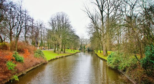 Scenic view of river with trees in background