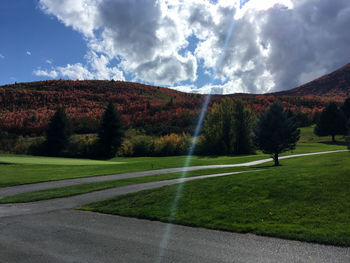 Scenic view of field against sky