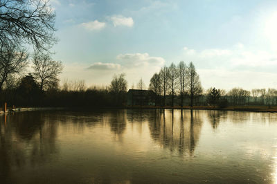 Reflection of trees in lake against cloudy sky