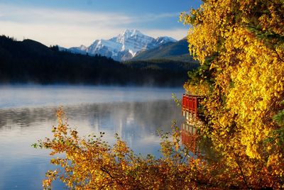 Scenic view of lake by trees against sky