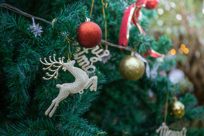 Close-up of christmas decorations hanging on tree