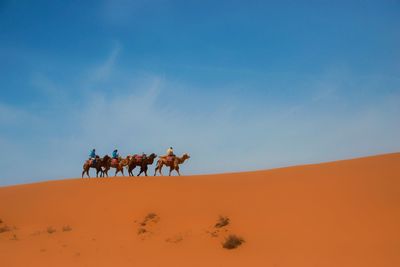 View of a desert