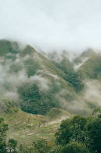 Scenic view of field and mountains