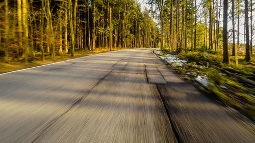 Surface level of dirt road along trees