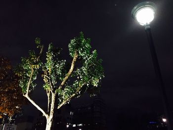 Low angle view of illuminated street light