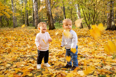 Cheerful kids catching maple leaves falling in autumn city park.