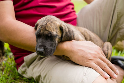 Midsection of woman with puppy