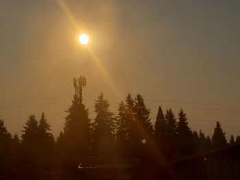 Sun shining through trees at sunset