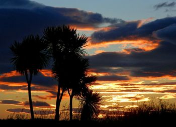 Silhouette of palm trees at sunset