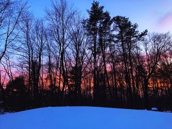 Silhouette trees against sky during winter