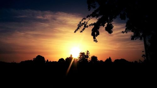 Silhouette of trees at sunset