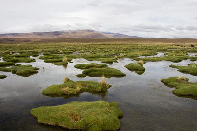 Scenic view of landscape against sky