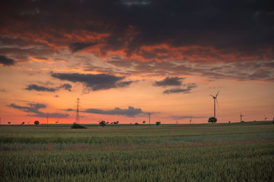 Scenic view of field against sky during sunset