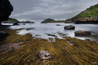 Scenic view of sea against sky